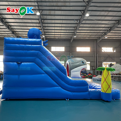 Lớn Combo Slide bơm nước bơm hồ bơi thương mại bơm nước bơm nước bán buôn