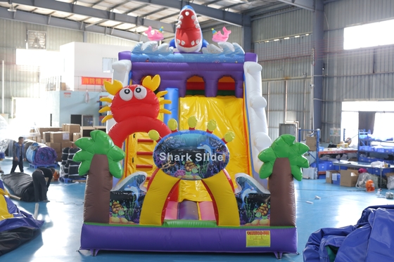 Custom in ấn bơm khô slide với Bouncy Castle thiết kế cho các sự kiện trẻ em