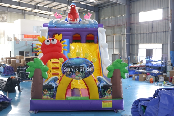 Custom in ấn bơm khô slide với Bouncy Castle thiết kế cho các sự kiện trẻ em