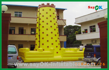 Lớn Funny Chất Lượng Cao Leo Tường Inflatable Đồ Chơi Nước Cho Vui Vẻ